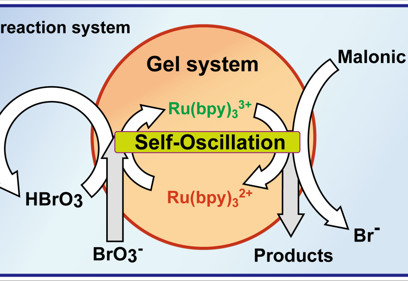 Self-oscillating Gel – Satoshi Nakamaru Ph.D.